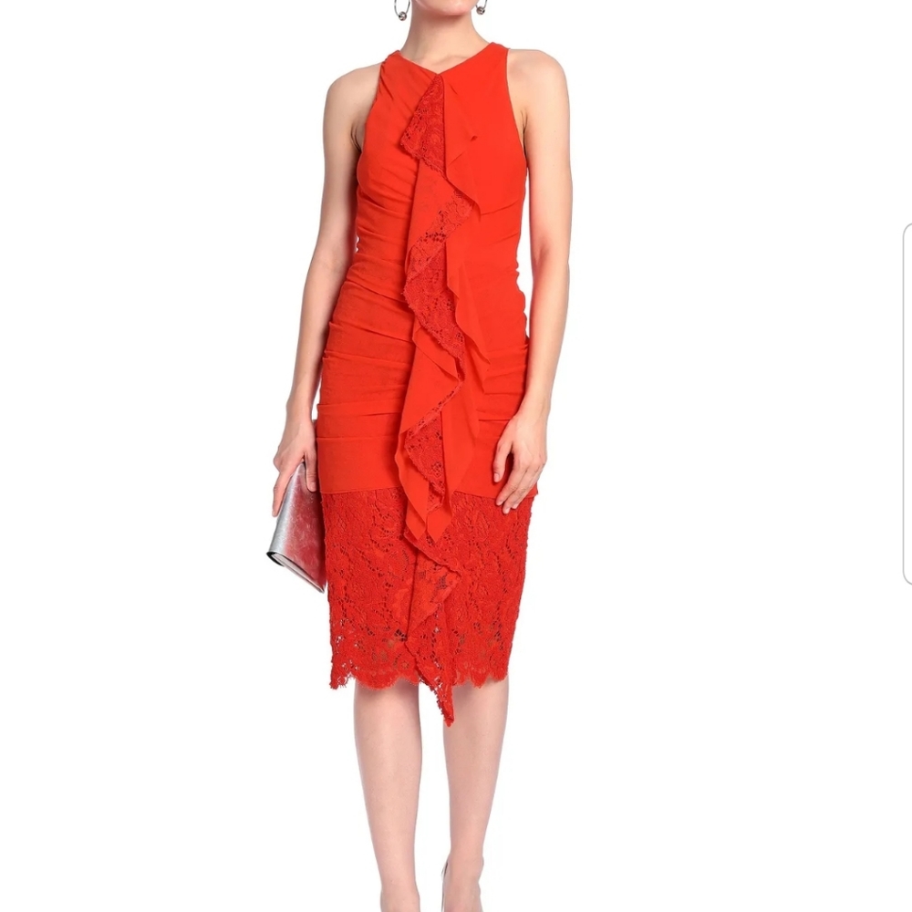 Proenza Schouler Ruffled Lace Panel Dress